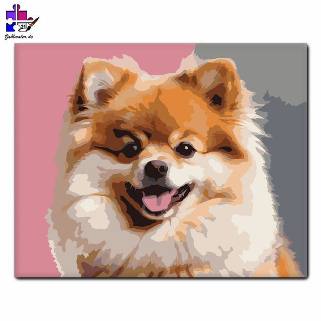 Pomeranian Schlumpf Kätzchen Spaß Porträt | Malen nach Zahlen-Zahlmaler.de