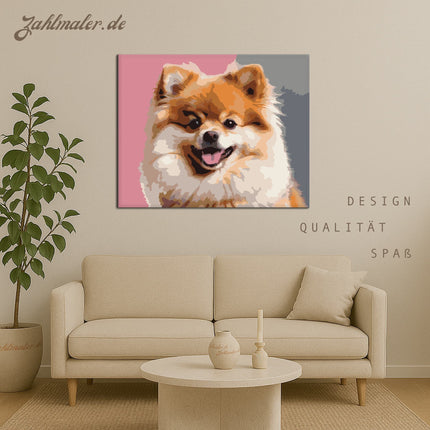 Pomeranian Schlumpf Kätzchen Spaß Porträt | Malen nach Zahlen-Zahlmaler.de