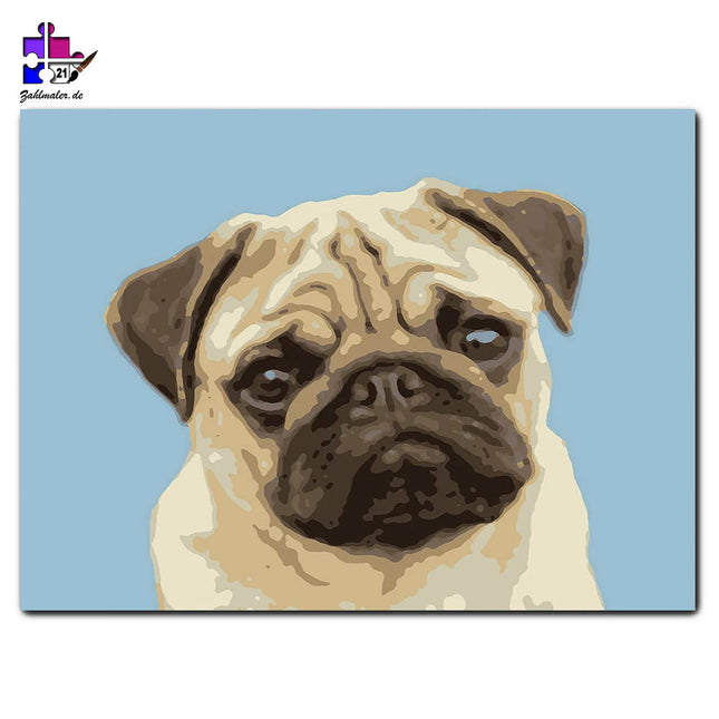 Der freche Mops | Malen nach Zahlen