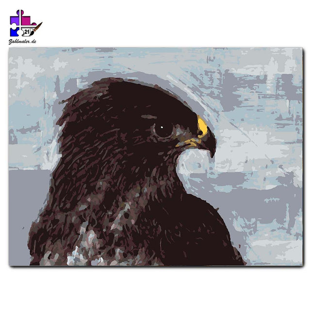Sebastian Krüger© | Bussard | Malen nach Zahlen