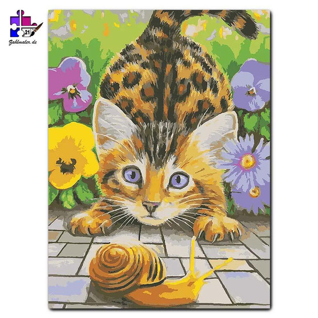 Auch die Schnecke kann mit der Katze spielen | Malen nach Zahlen-Zahlmaler.de