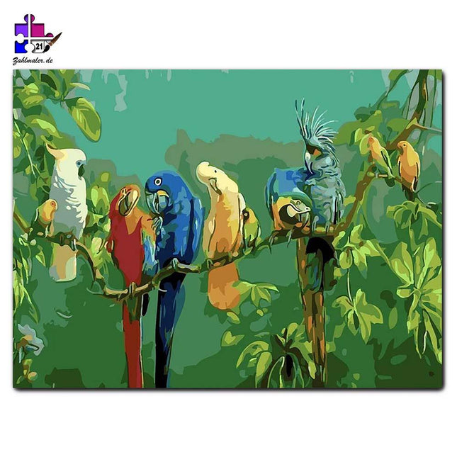 Bunte Vogelarten im Dschungel | Malen nach Zahlen-Zahlmaler.de