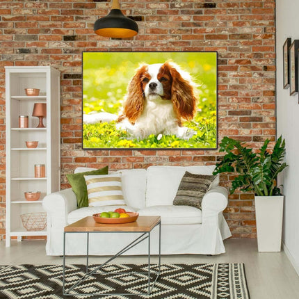 Cavalier King Charles Spaniel im Gras | Malen nach Zahlen-Zahlmaler.de
