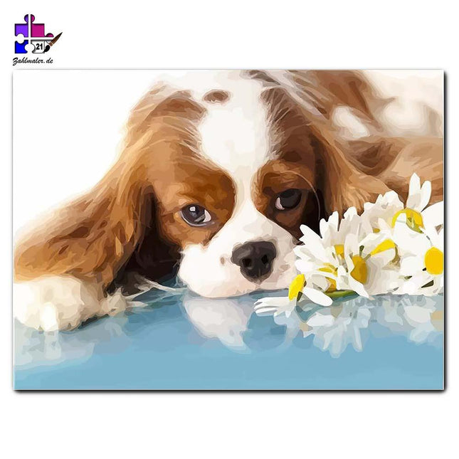 Cavalier King Charles Spaniel mit Blümchen | Malen nach Zahlen-Zahlmaler.de