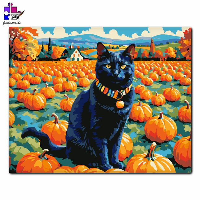 Schwarze Katze im Kürbisfeld | Malen nach Zahlen-Zahlmaler.de