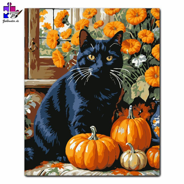 Schwarze Katze und Kürbisse im Herbst | Malen nach Zahlen-Zahlmaler.de