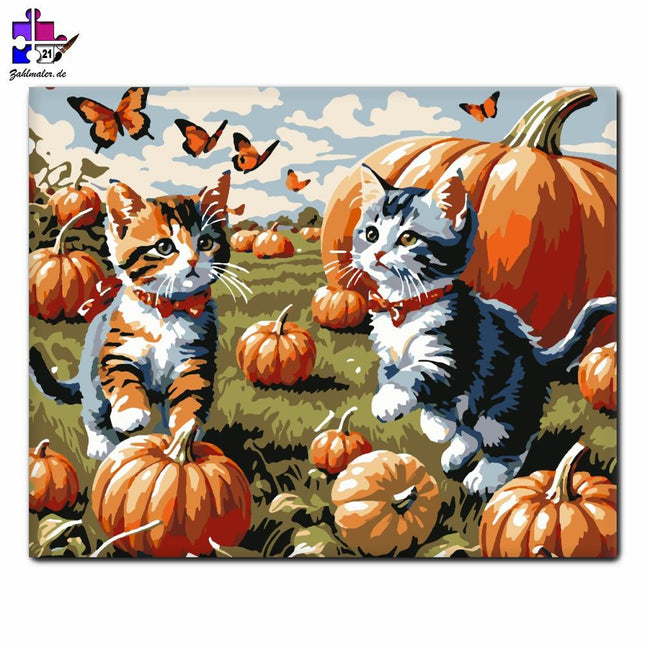 Verspielte Kätzchen und Kürbisse | Malen nach Zahlen-Zahlmaler.de