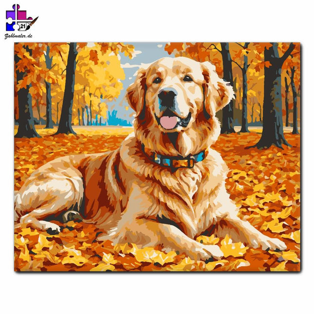Herbstabenteuer mit einem Golden Retriever | Malen nach Zahlen-Zahlmaler.de