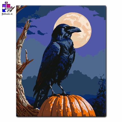 Rabe und Kürbis im Mondlicht | Malen nach Zahlen-Zahlmaler.de