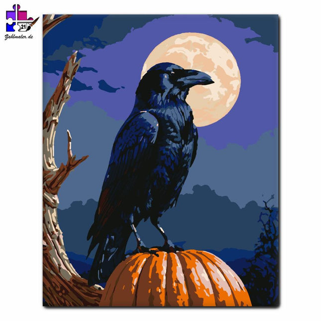 Rabe und Kürbis im Mondlicht | Malen nach Zahlen-Zahlmaler.de