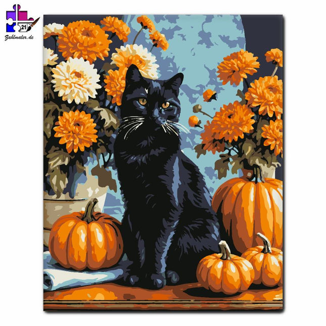 Schwarze Katze zwischen Herbstkürbissen | Malen nach Zahlen-Zahlmaler.de