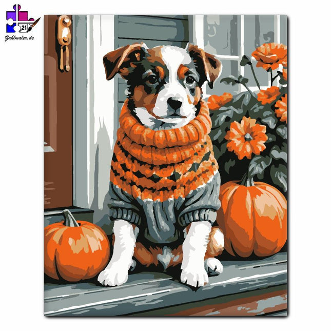 Herbst-Welpe im Pullover | Malen nach Zahlen-Zahlmaler.de