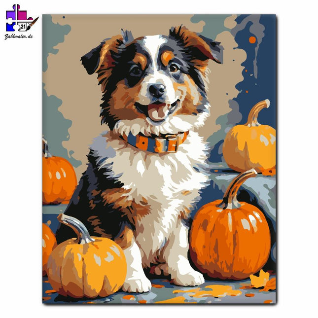 Lächelnder Welpe mit Kürbissen | Malen nach Zahlen-Zahlmaler.de