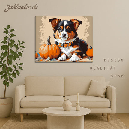 Herbstlicher Welpe mit Kürbissen | Malen nach Zahlen-Zahlmaler.de