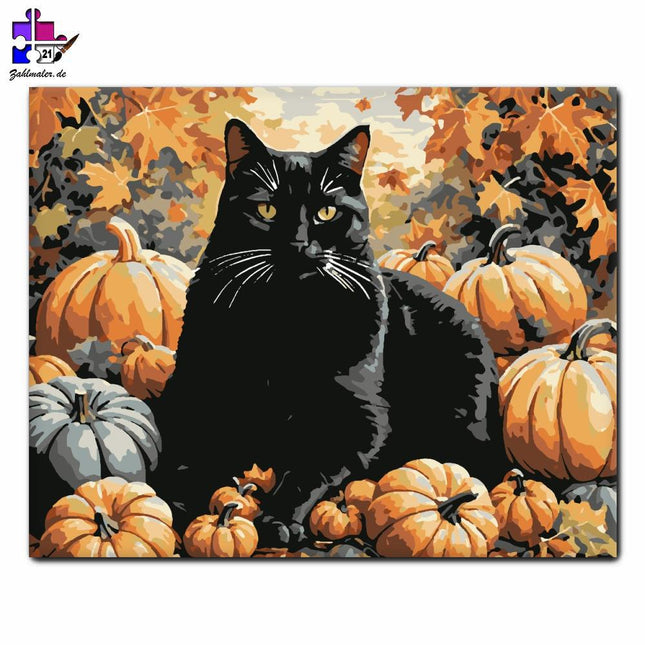 Schwarze Katze zwischen Kürbissen | Malen nach Zahlen-Zahlmaler.de