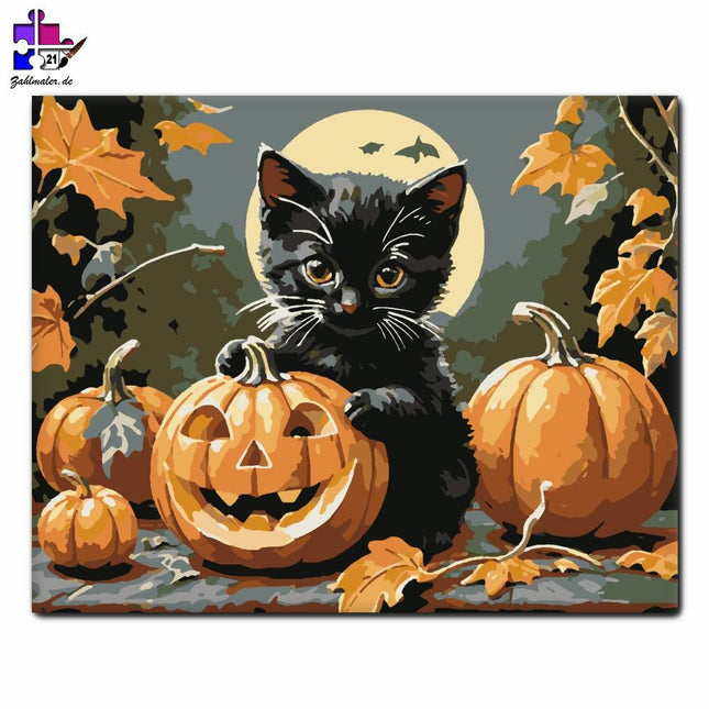 Niedliches Kätzchen und Halloween-Kürbis | Malen nach Zahlen-Zahlmaler.de