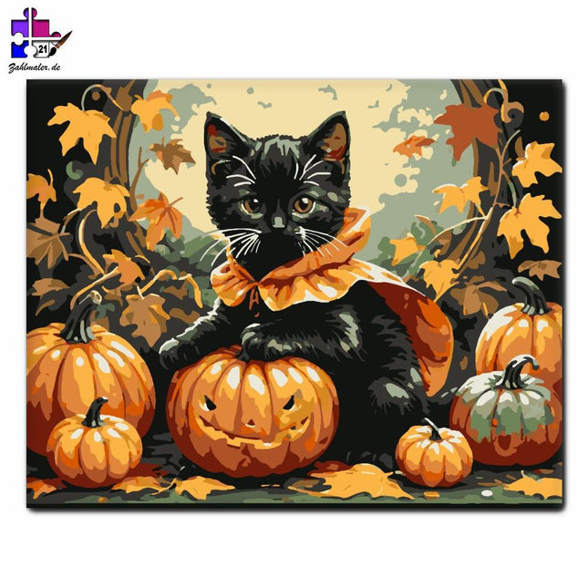 Charmantes Kätzchen in Halloween-Stimmung | Malen nach Zahlen-Zahlmaler.de