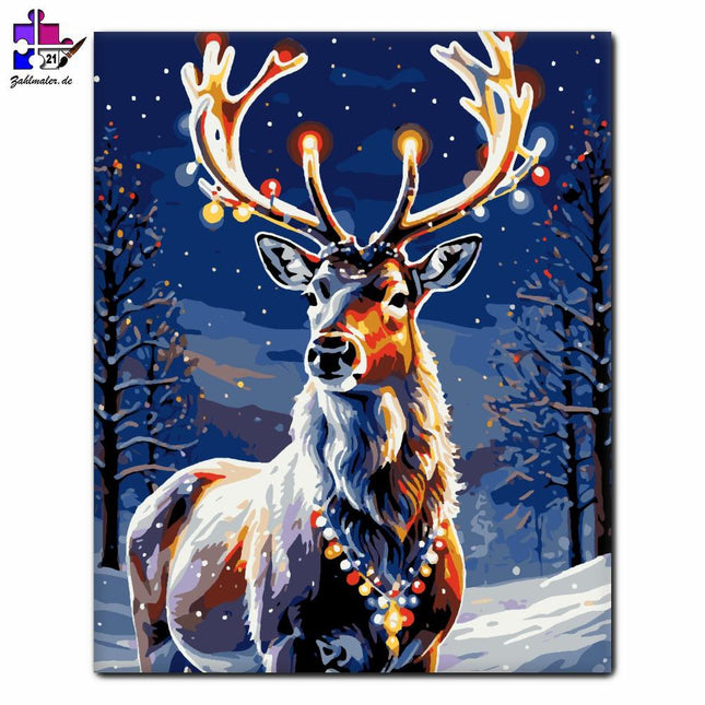 Glänzende Winterwunder | Malen nach Zahlen-Zahlmaler.de