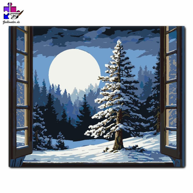 Mondbeschienene Winterlandschaft | Malen nach Zahlen-Zahlmaler.de