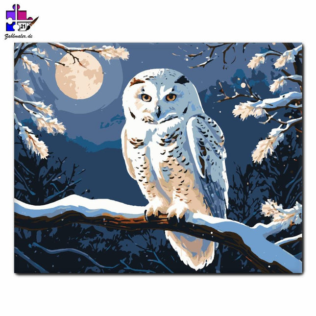 Harmonie der Nachteule | Malen nach Zahlen-Zahlmaler.de
