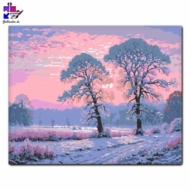 Winterliche Dämmerungsstille | Malen nach Zahlen-Zahlmaler.de
