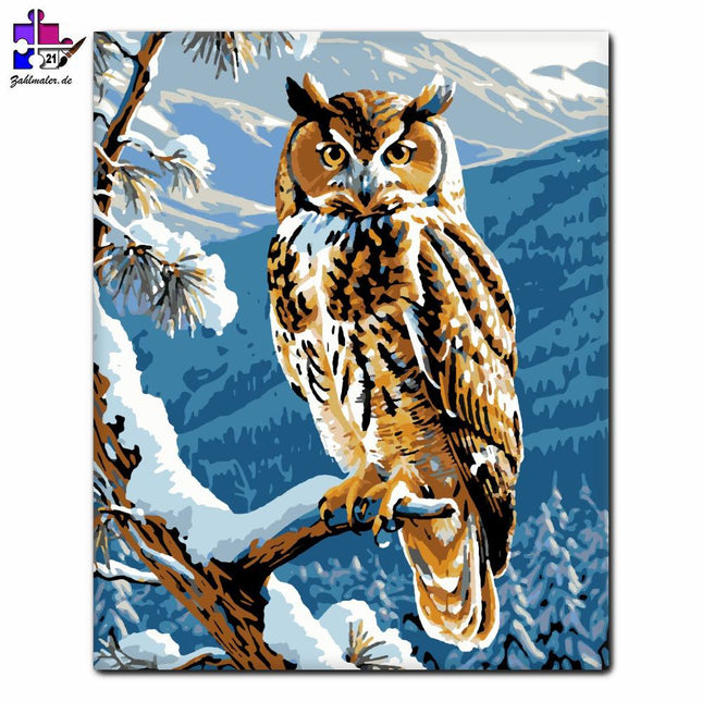 Weiser Sperlingskauz | Malen nach Zahlen-Zahlmaler.de