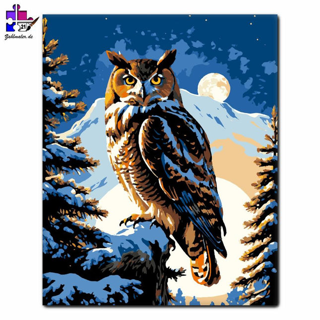 Nachteulenmagie | Malen nach Zahlen-Zahlmaler.de