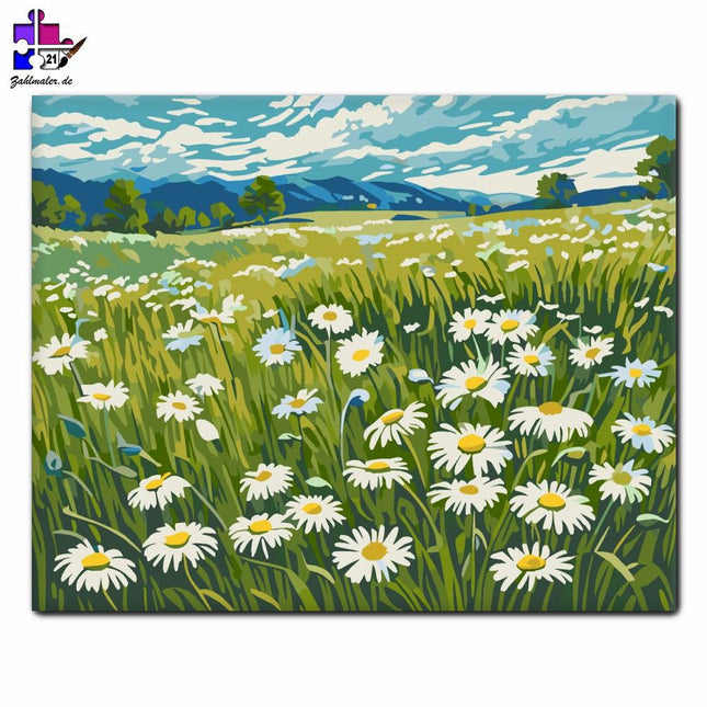 Harmonie der Feldmargareten | Malen nach Zahlen-Zahlmaler.de