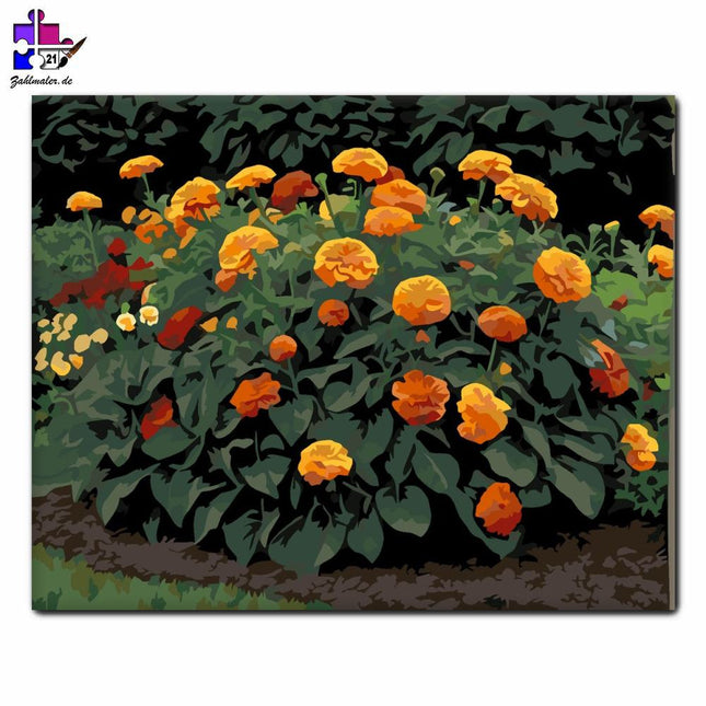 Das Feuer der Pfingstrosen | Malen nach Zahlen-Zahlmaler.de