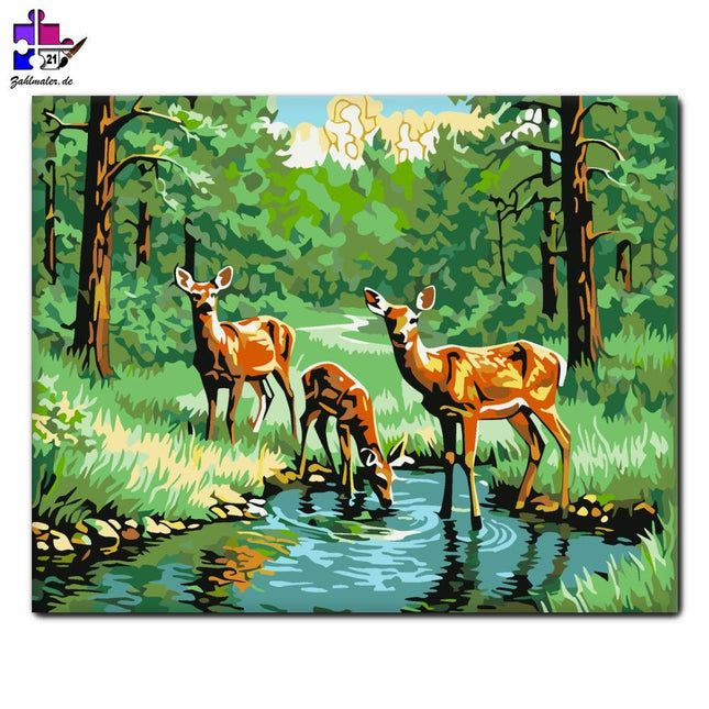 Waldhirsch Ruhig | Malen nach Zahlen-Zahlmaler.de