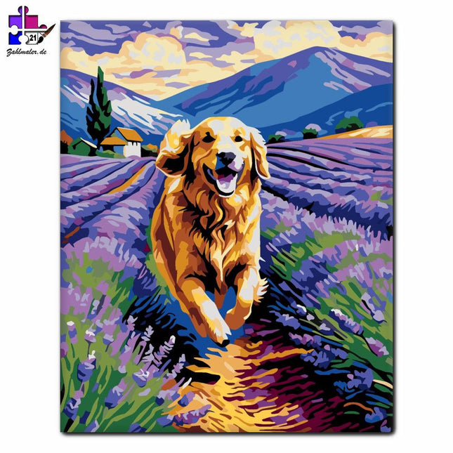 Lila Lavendel Morgen | Malen nach Zahlen-Zahlmaler.de