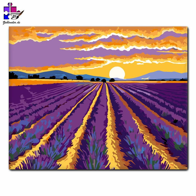 Lavendelfelder in der Abenddämmerung | Malen nach Zahlen-Zahlmaler.de