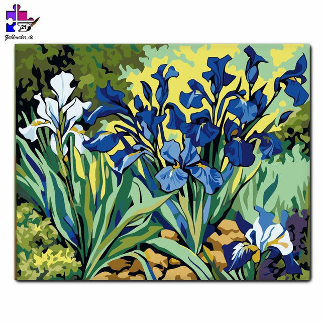 Schwertlilien in Farbe | Malen nach Zahlen-Zahlmaler.de