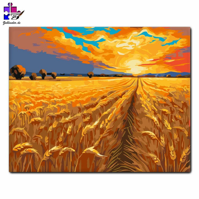 Die Schönheit der goldenen Weizenfelder | Malen nach Zahlen-Zahlmaler.de