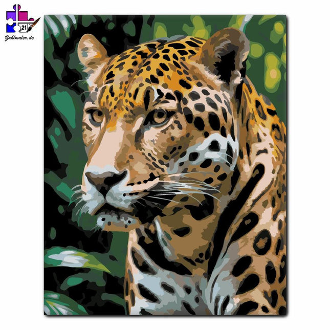 Jaguar im Dschungel | Malen nach Zahlen-Zahlmaler.de