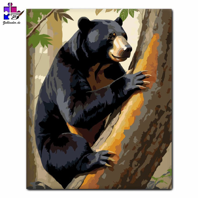 Sonnenbär im Tropenwald | Malen nach Zahlen-Zahlmaler.de
