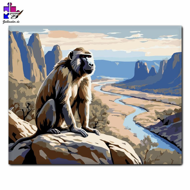 Pavian am Ufer des Rocky River | Malen nach Zahlen-Zahlmaler.de