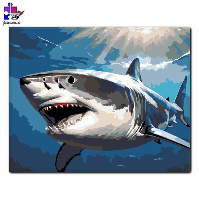 Weißer Hai im Abgrund | Malen nach Zahlen-Zahlmaler.de