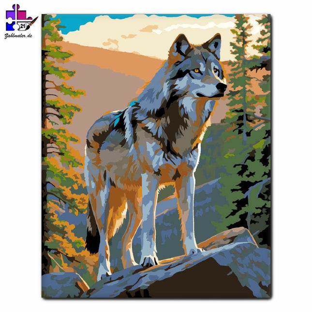 Grauer Wolf in den Bergen | Malen nach Zahlen-Zahlmaler.de
