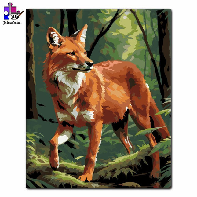 Dhole im tiefen Wald | Malen nach Zahlen-Zahlmaler.de