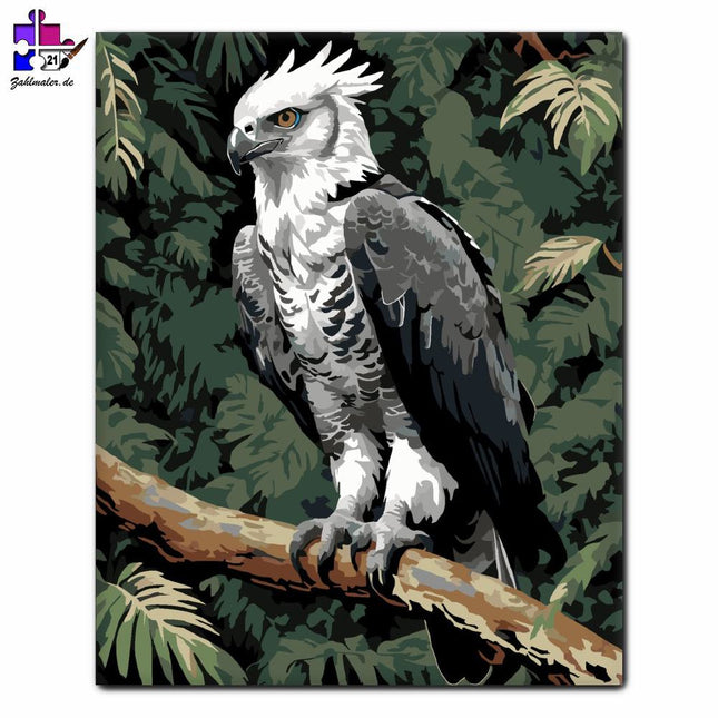 Harpia im Dschungel Agai | Malen nach Zahlen-Zahlmaler.de