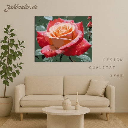 Dawn Dew Rose | Malen nach Zahlen-Zahlmaler.de