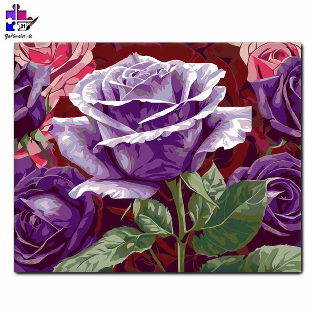 Lavendelrosen unter den roten Rosen | Malen nach Zahlen-Zahlmaler.de
