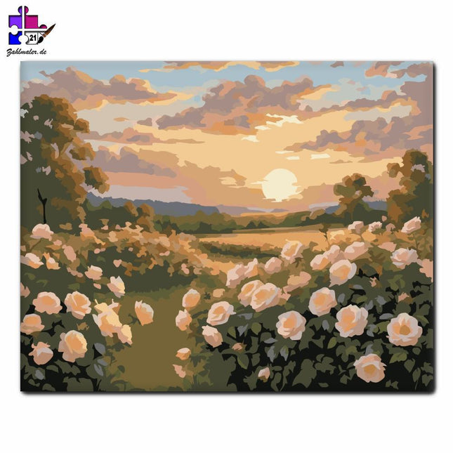 Sonnenuntergang Badende Rosen | Malen nach Zahlen-Zahlmaler.de