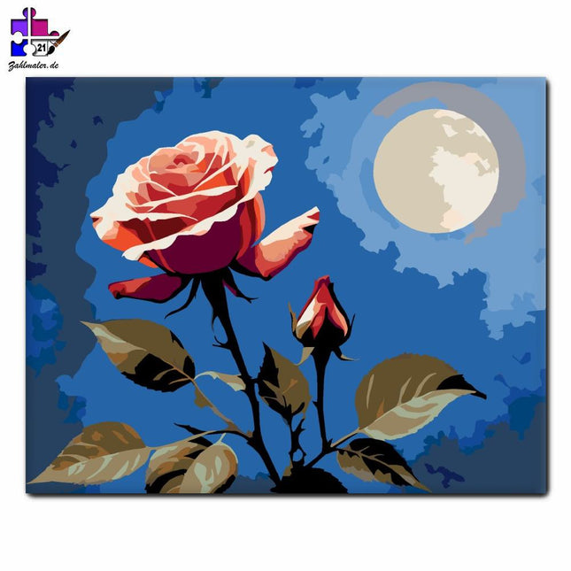 Mondscheinrose | Malen nach Zahlen-Zahlmaler.de