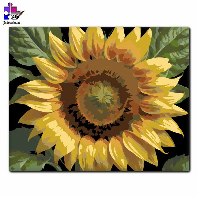 Sonnenblume Detail | Malen nach Zahlen-Zahlmaler.de
