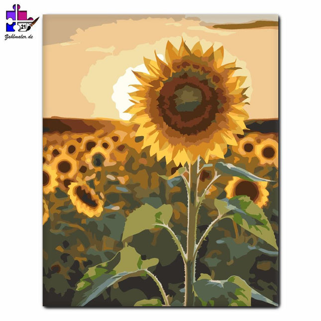 Sonnenblume im Sonnenuntergang stehend | Malen nach Zahlen-Zahlmaler.de