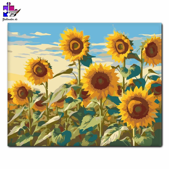 Sonnenblumenfeld im Wind | Malen nach Zahlen-Zahlmaler.de