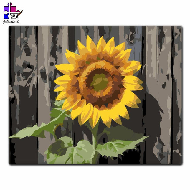 Sonnenblumen am Zaun | Malen nach Zahlen-Zahlmaler.de