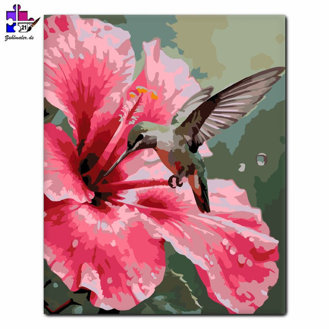 Rosa Hibiskus und Kolibri | Malen nach Zahlen-Zahlmaler.de